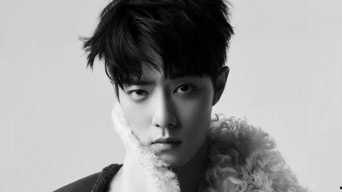 肖战图片高清,光影流转，魅力四溢