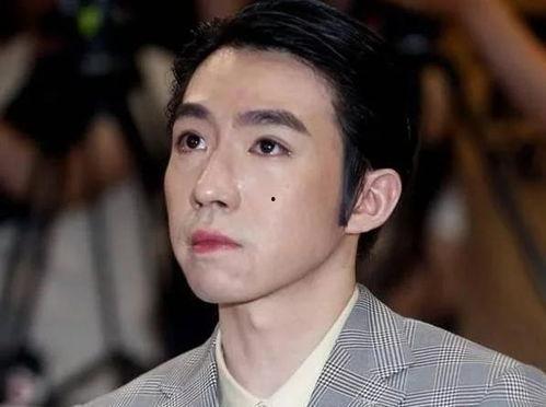 俞灏明照片大全,光影交织的青春印记